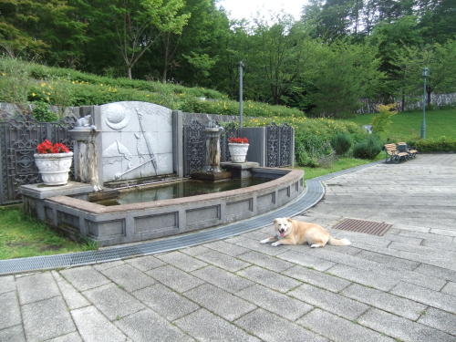 花巻広域公園にて3