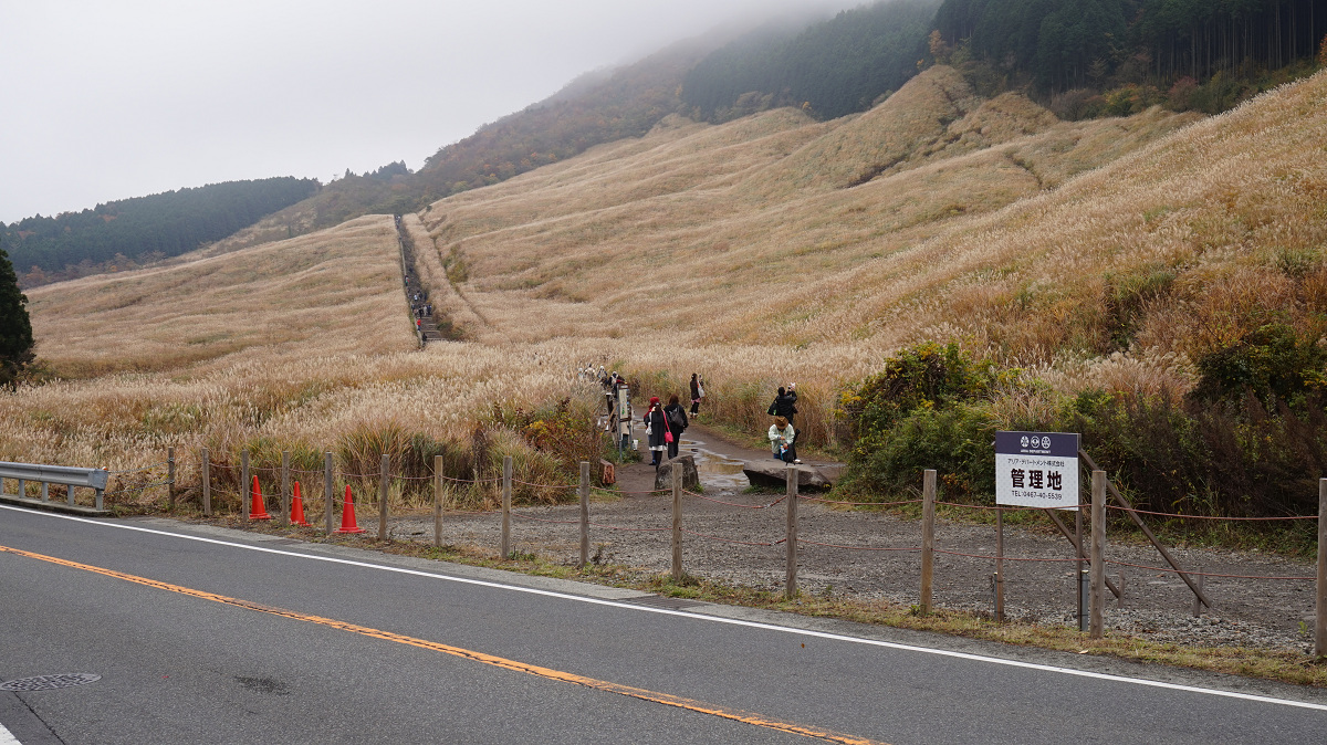 20141112 10520701.jpg