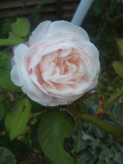 グルスアンアーヘン