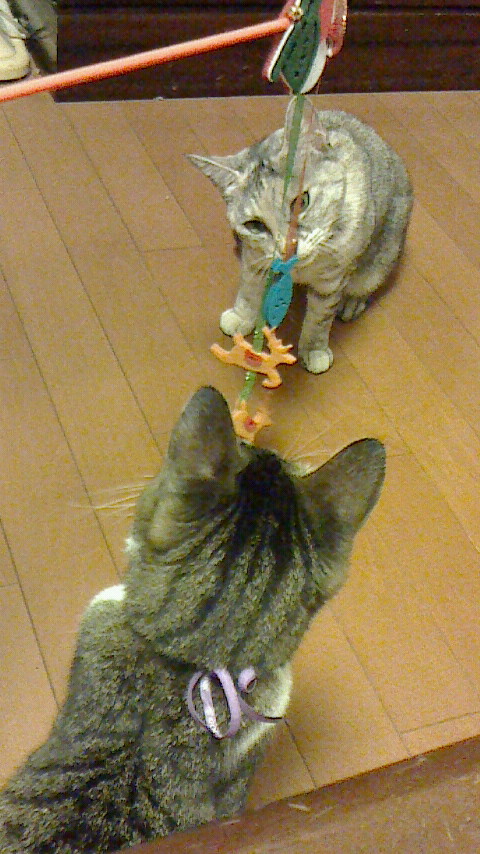 NEC_0080.JPG
