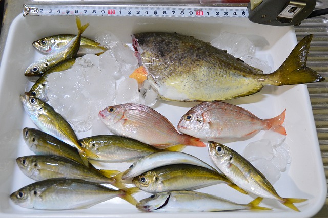 showPhoto (640×426)