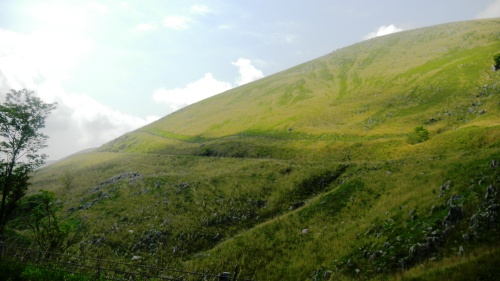 010カルストロード (2).JPG