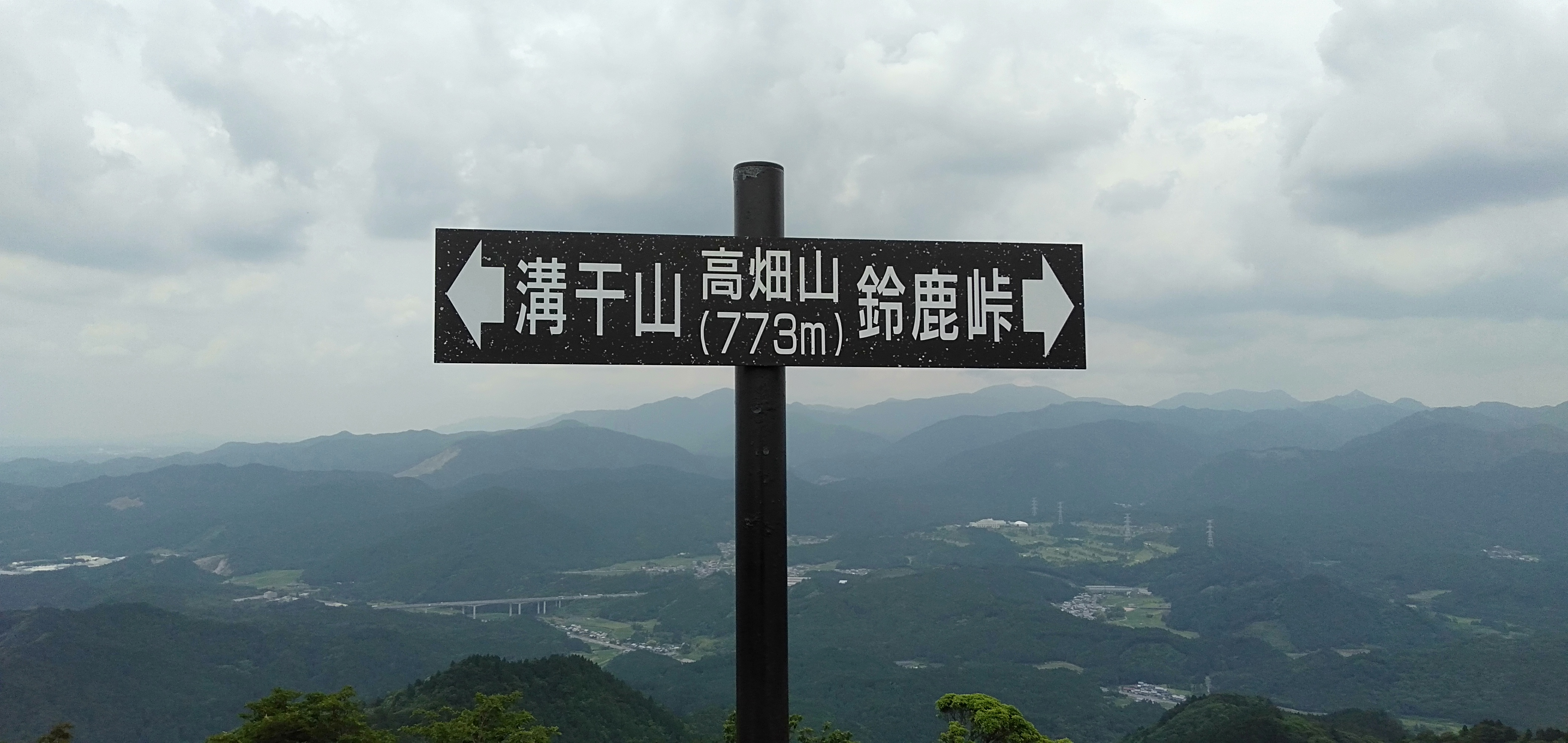 IMG20200615123118.jpg