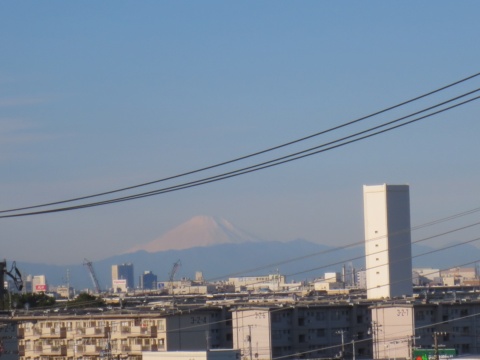 h25.1.1fuji009.JPG