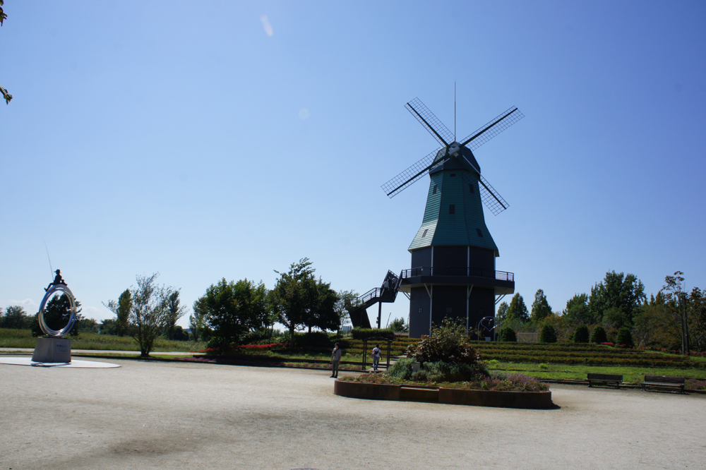 DSC05185.jpg