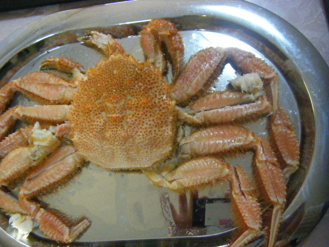 2020お正月 (15).JPG