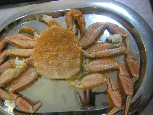 2020お正月 (15).JPG