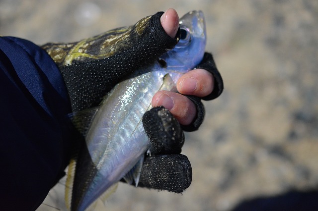 showPhoto (640×426)