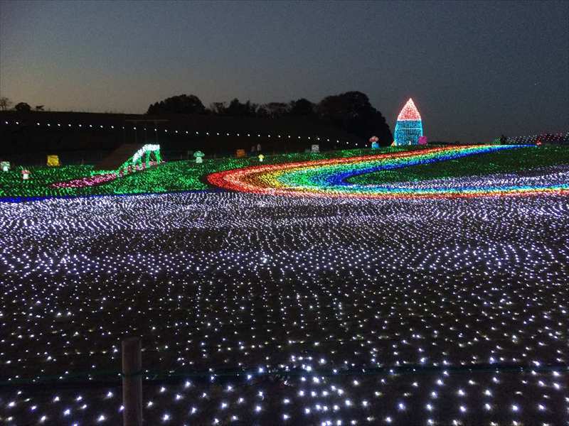 20141119 16520801.JPG