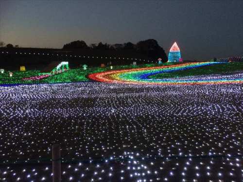 20141119 16520801.JPG