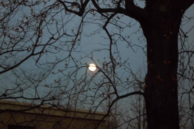 fiull moon.jpg