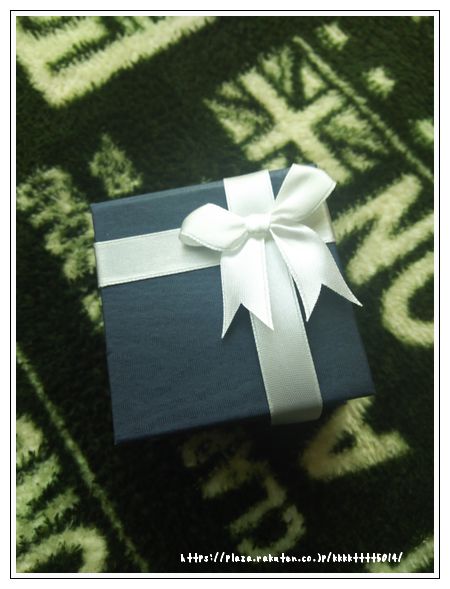 アクセサリー (1).jpg