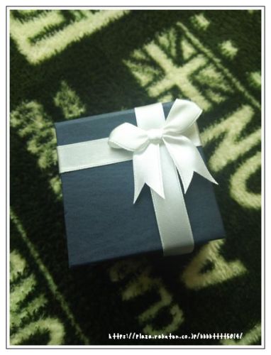 アクセサリー (1).jpg