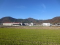 田園風景.JPG