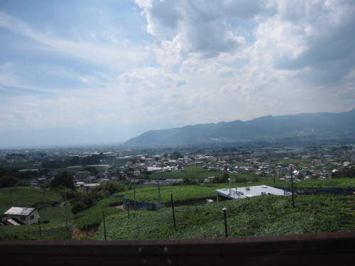 IMG_2181.JPG