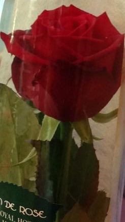 IMG_2094_convert_20160207160926 (2).jpg