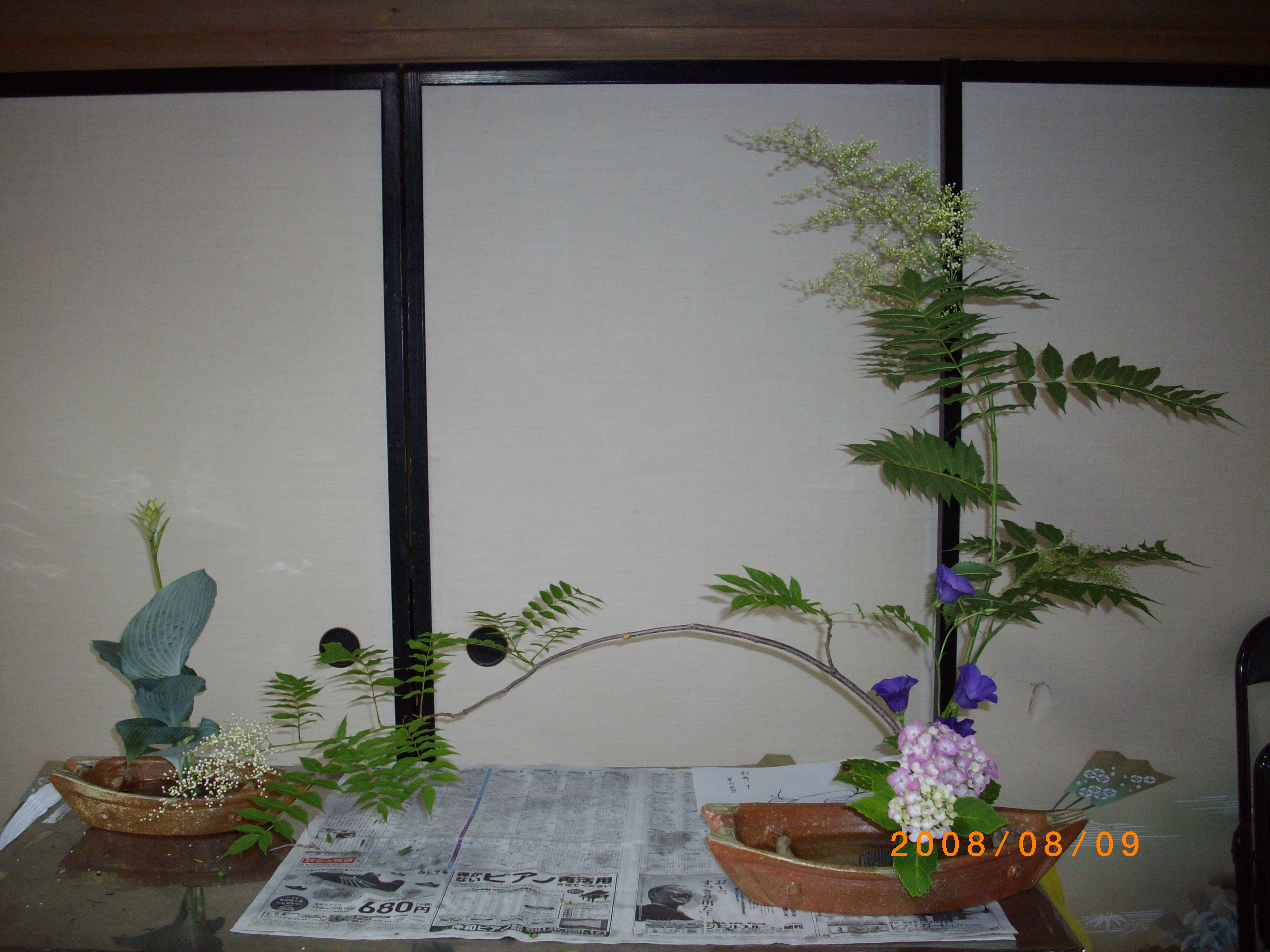 IMGP2621.JPG