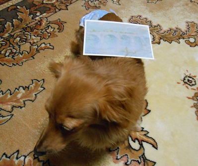 DSCN7899.JPG