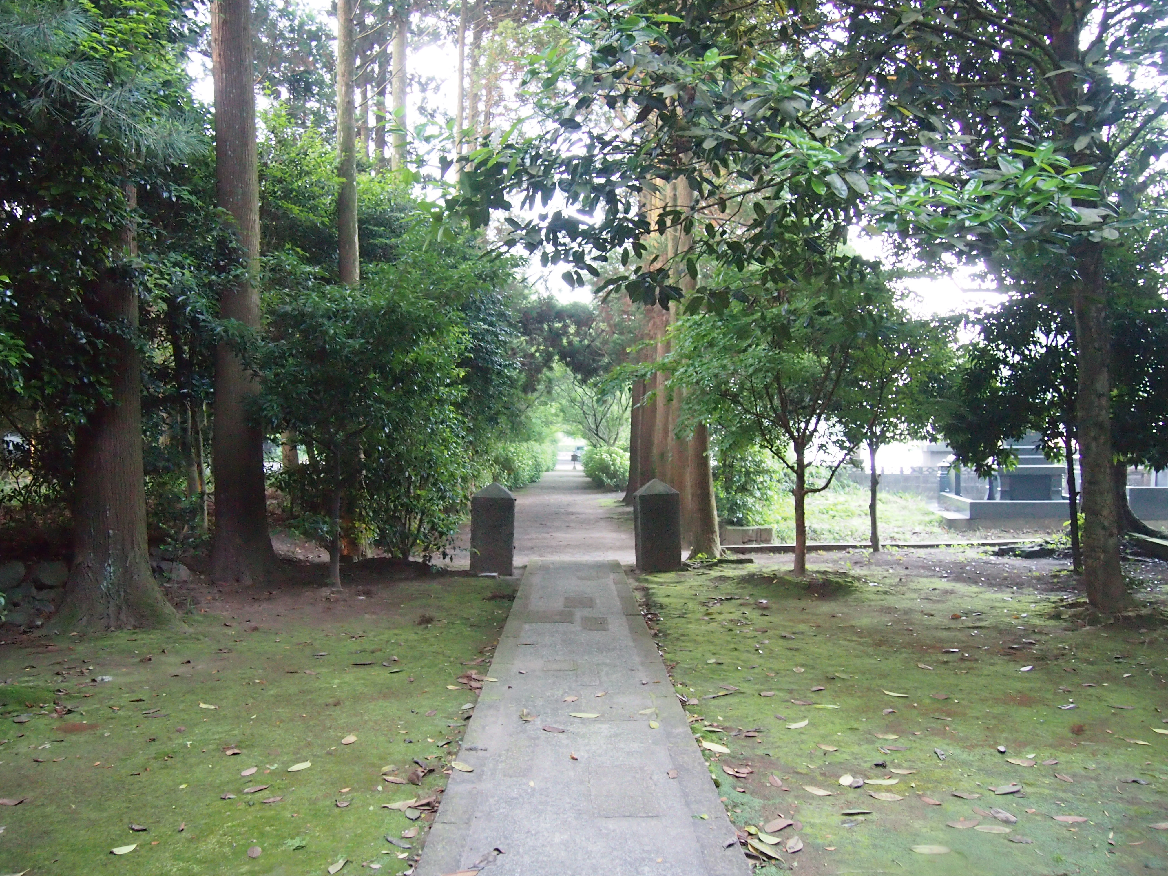 175.JPG