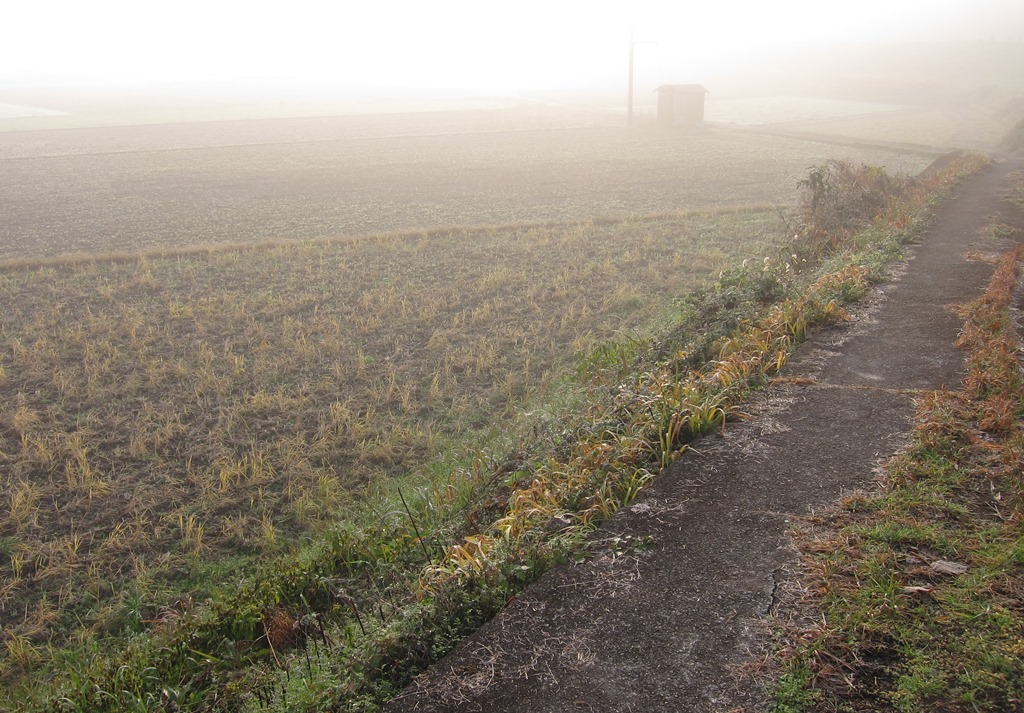 霧の朝3.JPG