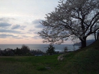 2015年4月　門前の桜と夕日