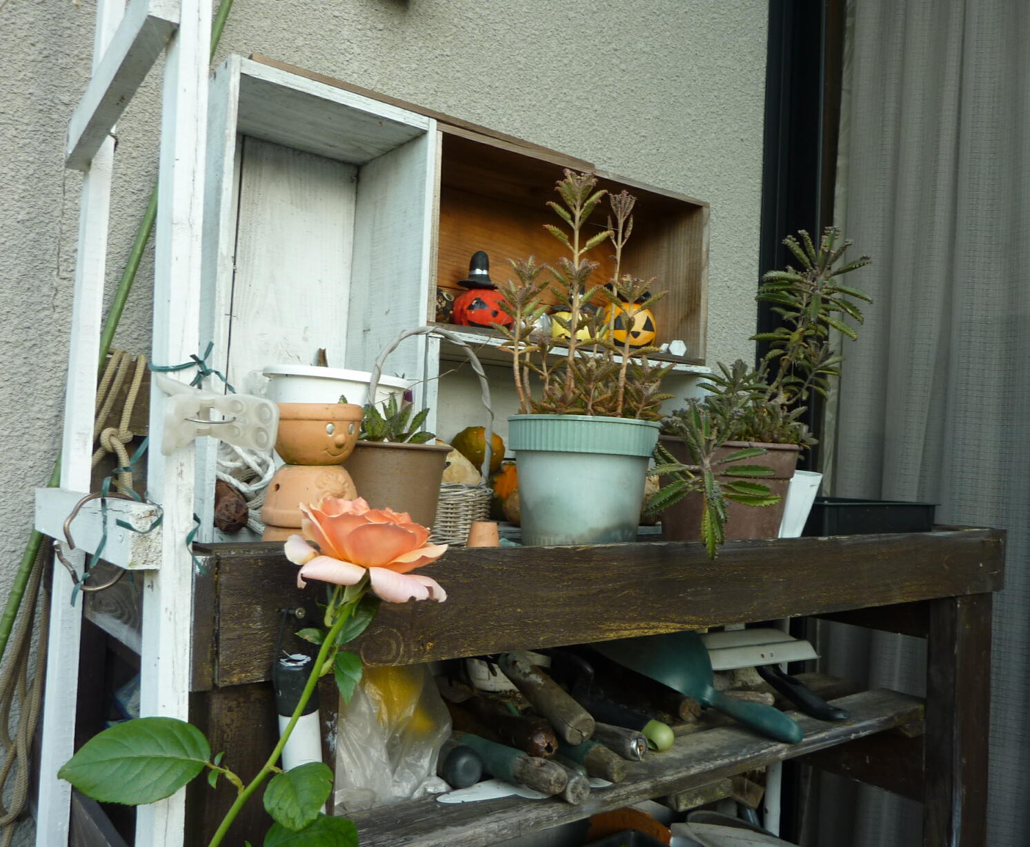 130922-5-2.jpg