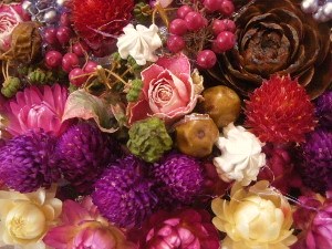 DSCN4563 (300x225).jpg