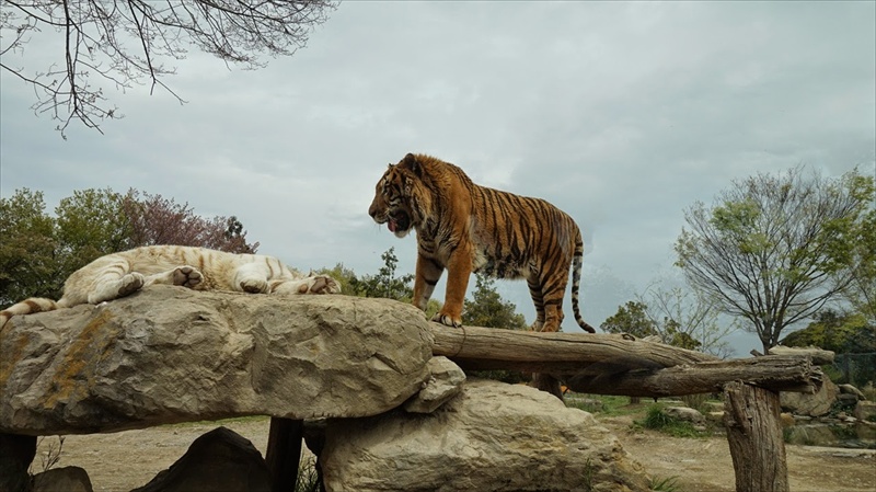 20150420 12171601.JPG