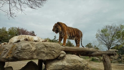 20150420 12171601.JPG