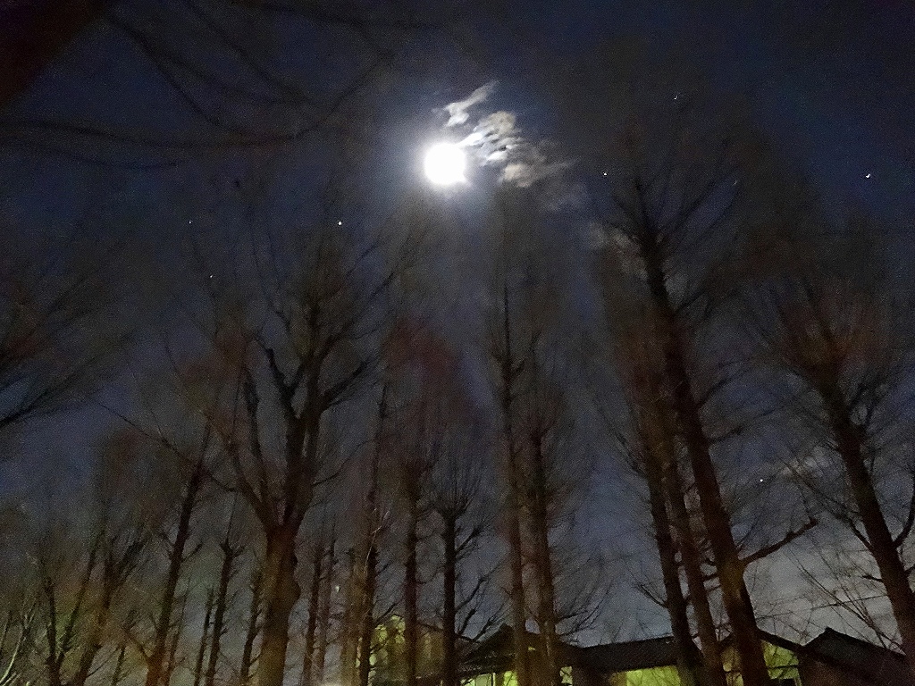 DSC00182.jpg