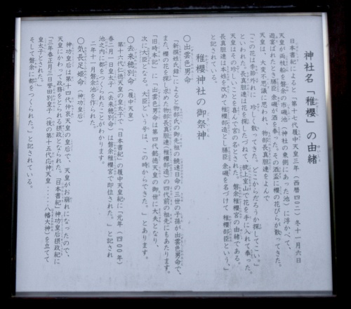 009稚桜神社 (3).JPG