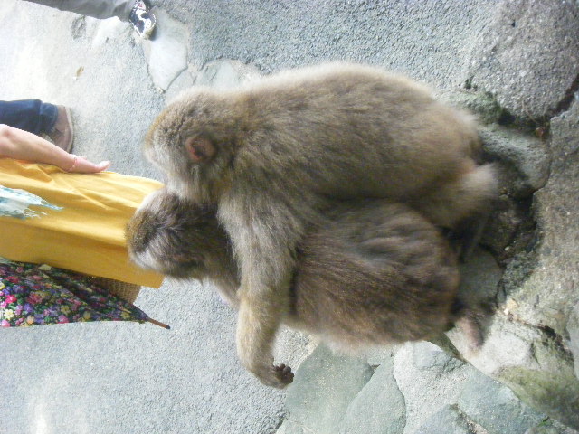 仲のいい姉弟 (5).JPG