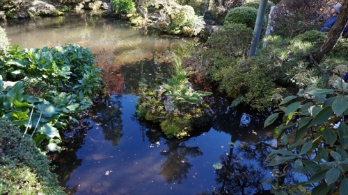 20151127 10101901.jpg