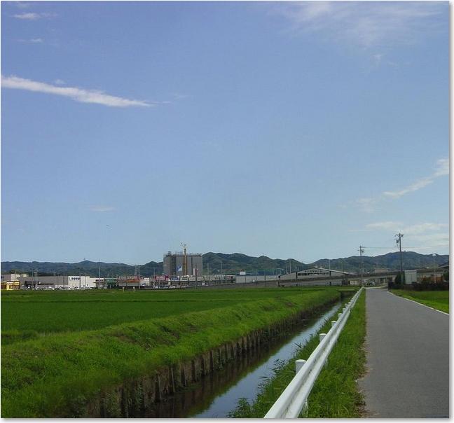 25こんな景色です