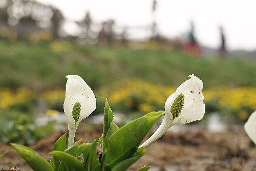 0408-8.jpg