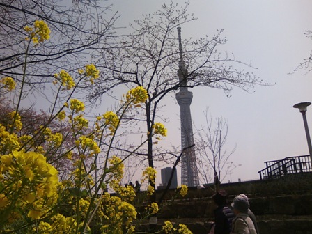 卯月　平成中村座　初日 049.JPG