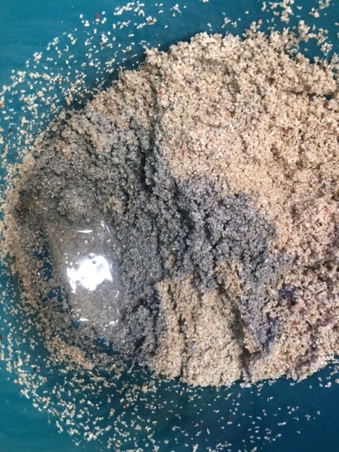image3.JPG