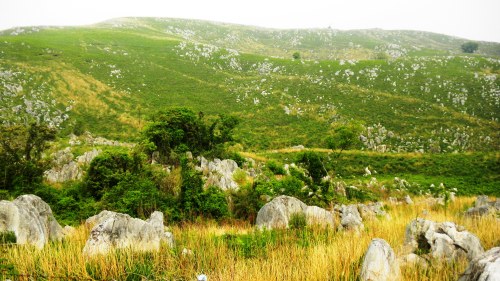 003カルストロード (5).JPG