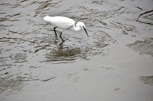 B97A1886 (1024x683).jpg