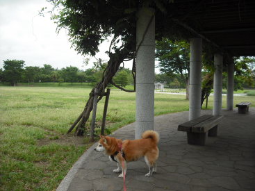 momo250529.JPG