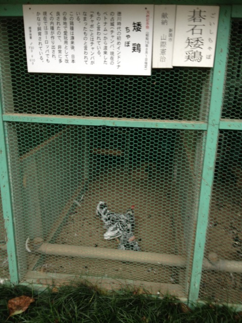 201210091048_9534_iphone.jpg