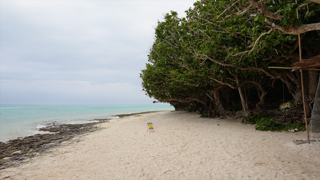 20150223 08491301.JPG