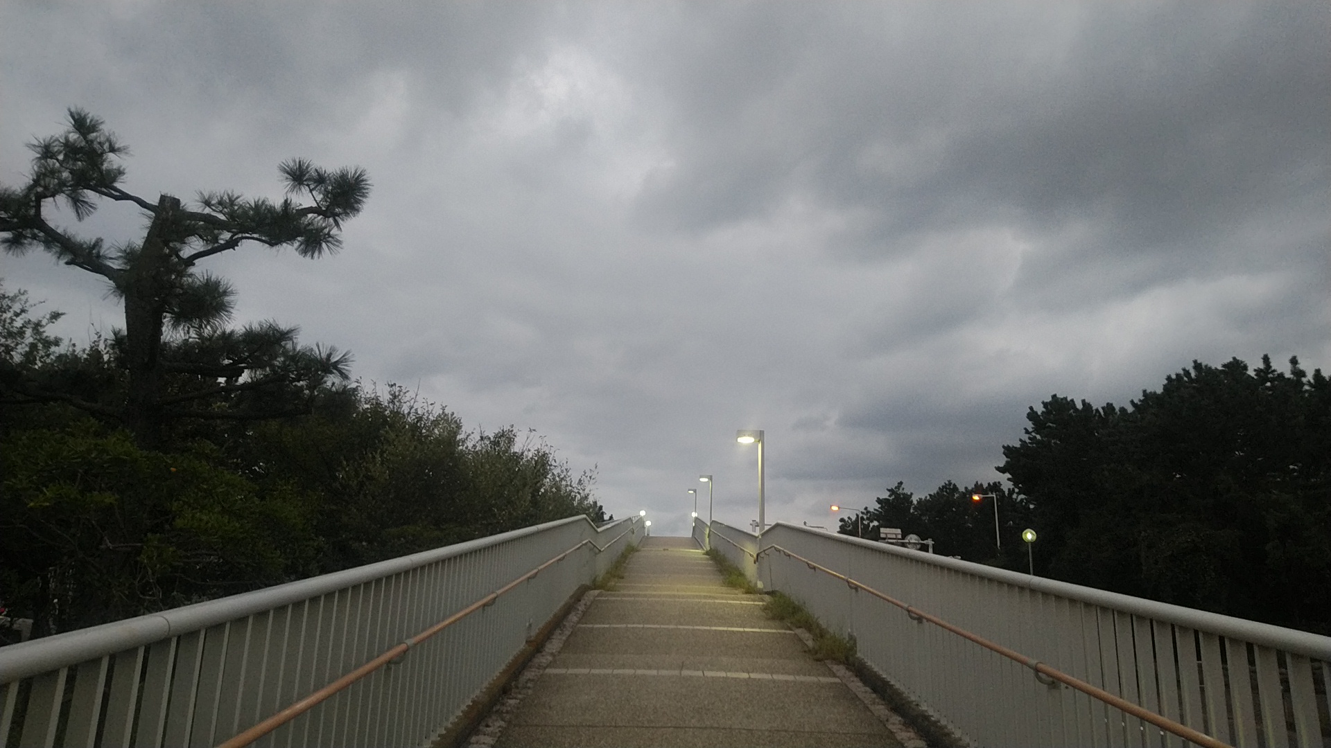 20190913  DSC_0001.jpg.jpg