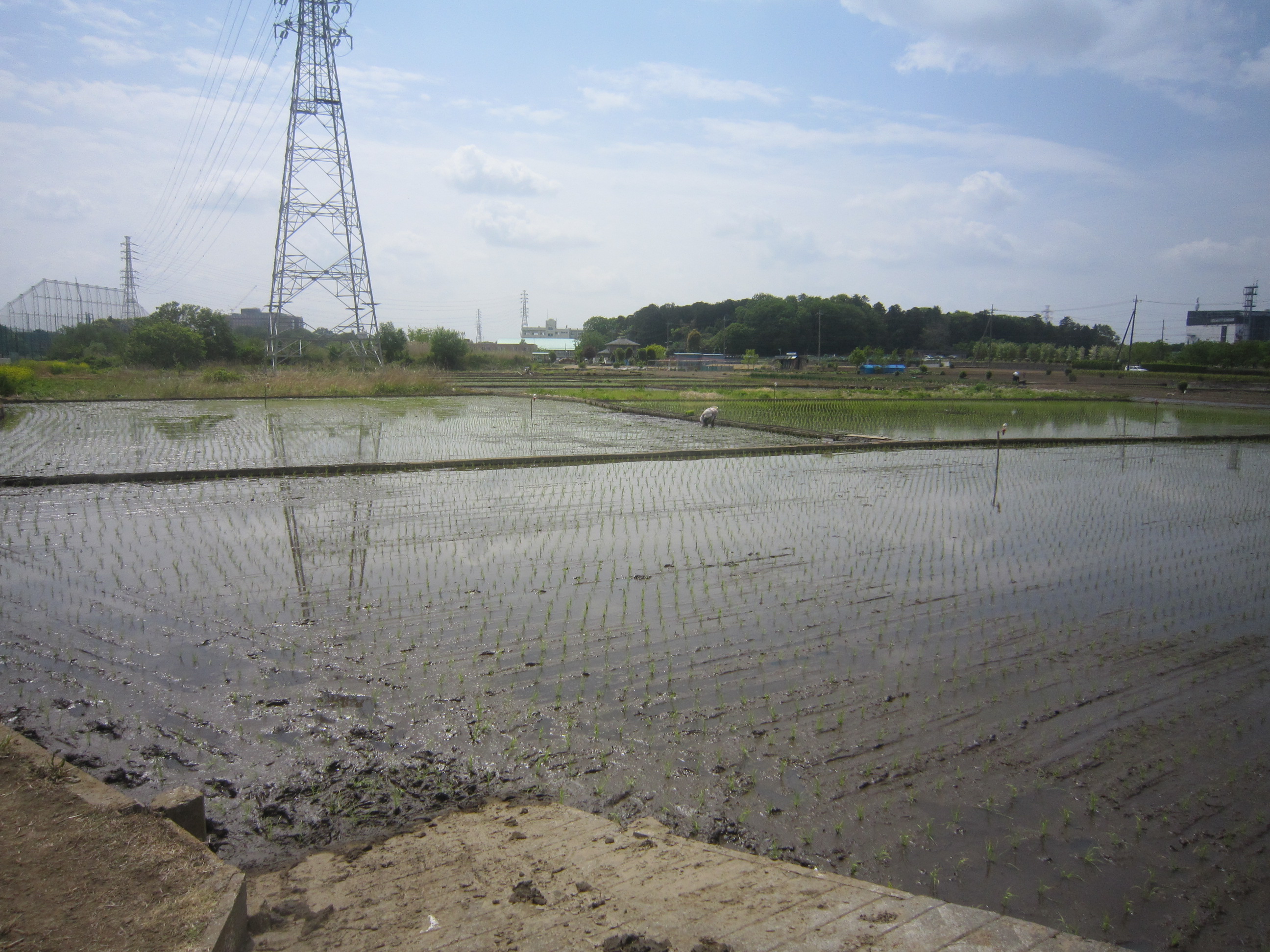 画像 080.jpg