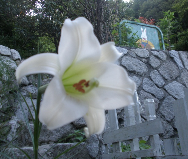 P8161505.JPG