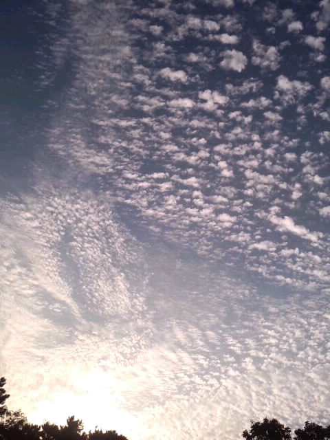 初秋の夕暮れ2014（縦）