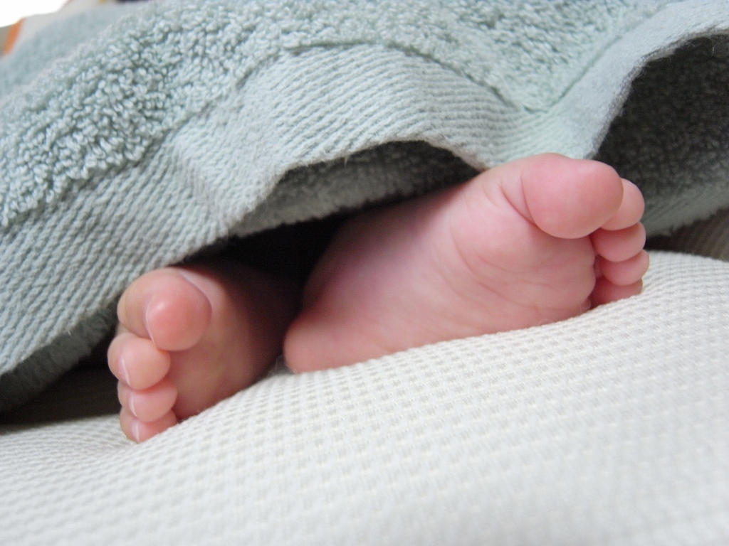 R0049069 (1024x768).jpg