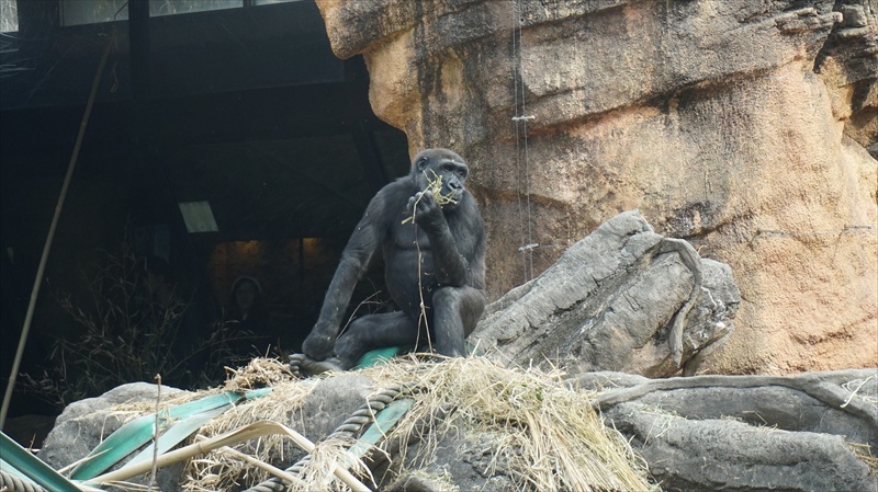 20150318 14261102.JPG