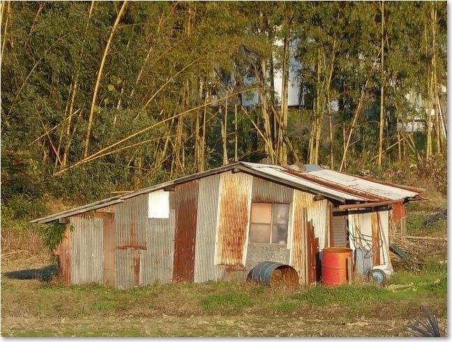 78ホームから見える小屋