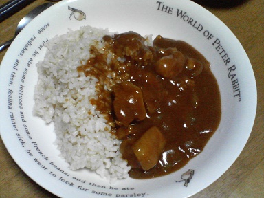 カレー20082102